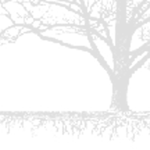 Ss_project